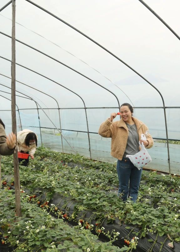 1741568037725837.jpg 1741568037725837.jpg